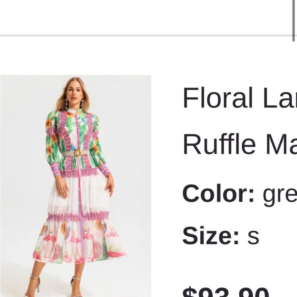 NWT Floral Lace Ruffle Maxi Dress - Green and Pink